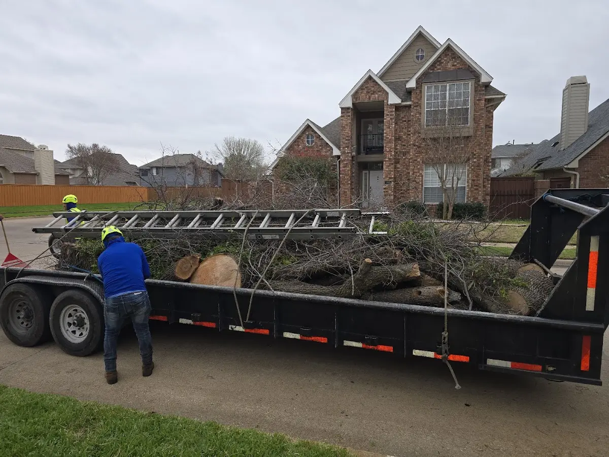 Expert Tree Fertilization with proper safety equipment in Driver